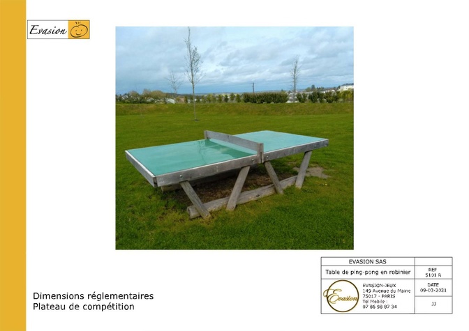 5101 R - Table de Ping Pong Structure robinier