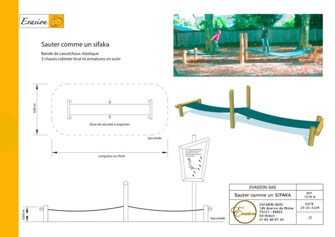 7278 R - Sauter comme un Sifaka