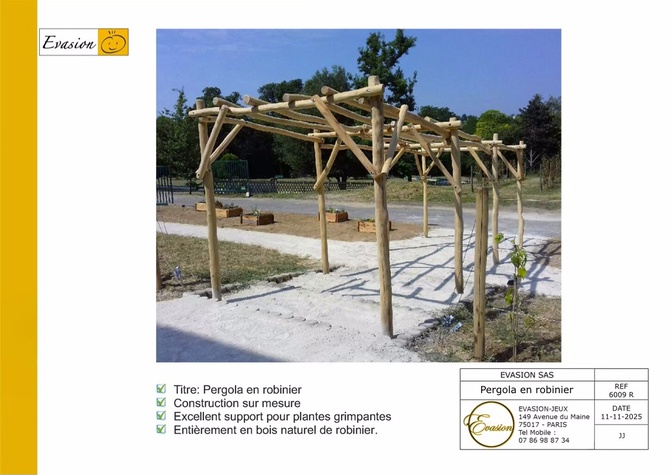 6009 R - Pergola en robinier sur mesure